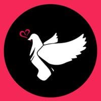 TikTok Account - sadworld.media