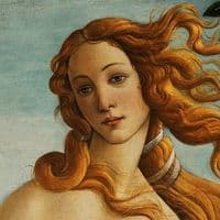 TikTok Account - lluisa.flavietti