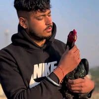 TikTok Account - narinder.rajput07