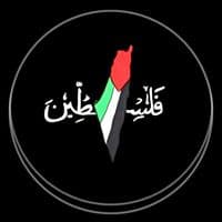 TikTok Account - salmotemplates