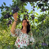 TikTok Account - klautana