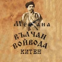 TikTok Account - vulchan.voivoda.kiten