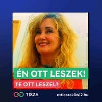 TikTok Account - metty131