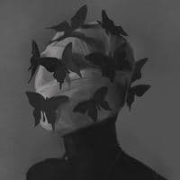 TikTok Account - naili_farouq