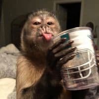 TikTok Account - useeer_0560