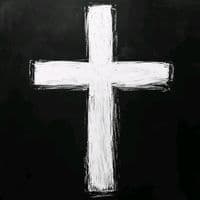 TikTok Account - hodkimin