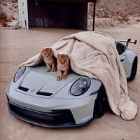 TikTok Account - khmnntl