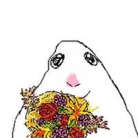 TikTok Account - vianii.gsy