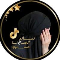 TikTok Account - ya____smin