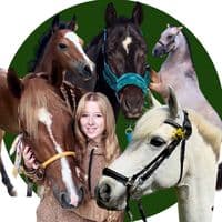 TikTok Account - baile_fanach_