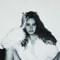 TikTok Account - twdwaalker