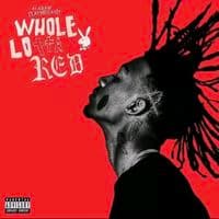 TikTok Account - lil_gandhi11