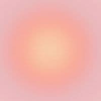 TikTok Account - fillysspam