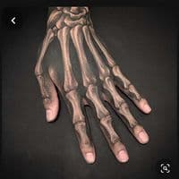 TikTok Account - schults.spam