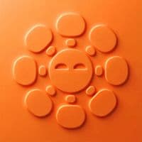 TikTok Account - afrobrunch