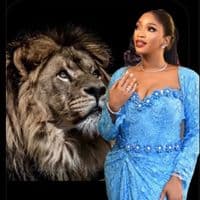 TikTok Account - zerostress24