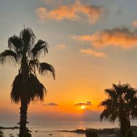 TikTok Account - 24adix