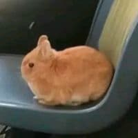 TikTok Account - lc23____