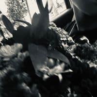 TikTok Account - emiliolopzz