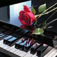 TikTok Account - sniega72