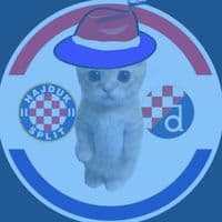 TikTok Account - croatian.cat703