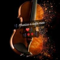TikTok Account - muzica.e.viata.mea3