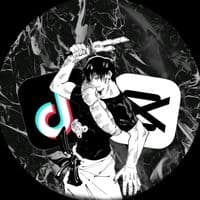 TikTok Account - txq8l