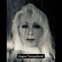 TikTok Account - k.k.04070