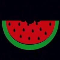 TikTok Account - meggimed