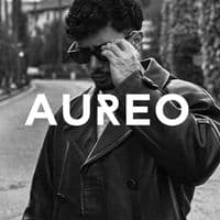 TikTok Account - alessandro_capozzi