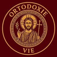 TikTok Account - ortodoxievie