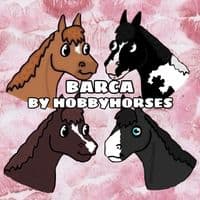TikTok Account - barca_by_hobbyhorses