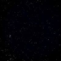 TikTok Account - d71ws