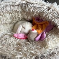 TikTok Account - oona.denolf2