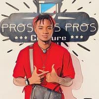 TikTok Account - pros_des_pros.coiffure