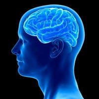 TikTok Account - tiempo_real1