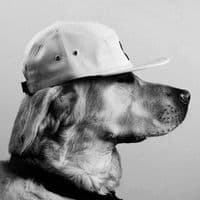 TikTok Account - fr4memagazine