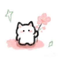 TikTok Account - fanatniktoo