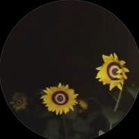 TikTok Account - magnumslides