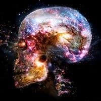 TikTok Account - curiosityontiktok