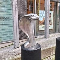 TikTok Account - user6303688167367