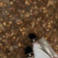 TikTok Account - mus.comm