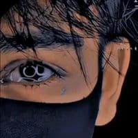 TikTok Account - hausa_lyrics001