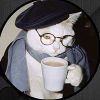 TikTok Account - tellmegold