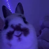 TikTok Account - emmy.c1622