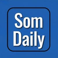 TikTok Account - som_daily1