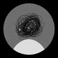 TikTok Account - s3cr3t.account014