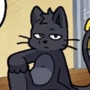 TikTok Account - curiouscatsgf