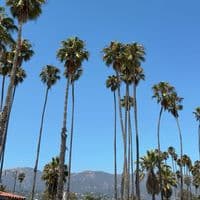 TikTok Account - j.kobi.ma1n