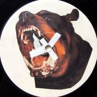 TikTok Account - bon.soir.madame